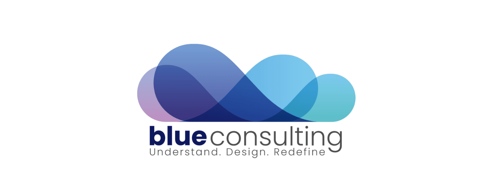 Blue Consulting - Full Branding